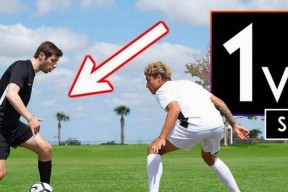 KAIYUN-关于蒂姆遭遇十五连败，澳大利亚队教练面临压力！的信息